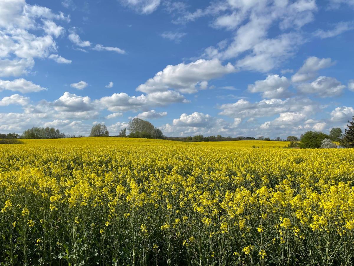 Ferienhaus Gerswalde ภายนอก รูปภาพ